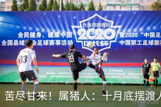 苦尽甘来！属猪人：十月底"摆渡人"悄然降临
